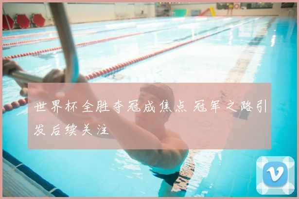 世界杯全胜夺冠成焦点 冠军之路引发后续关注