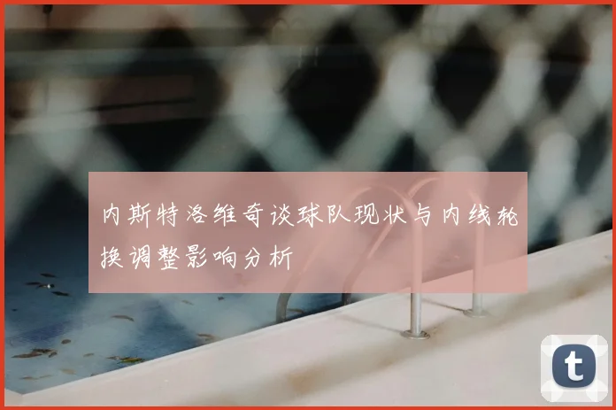 内斯特洛维奇谈球队现状与内线轮换调整影响分析