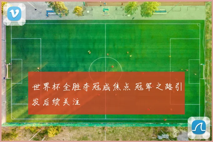 世界杯全胜夺冠成焦点 冠军之路引发后续关注